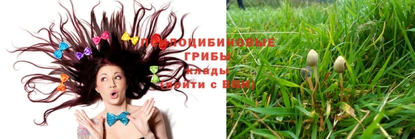 хмурый Абинск