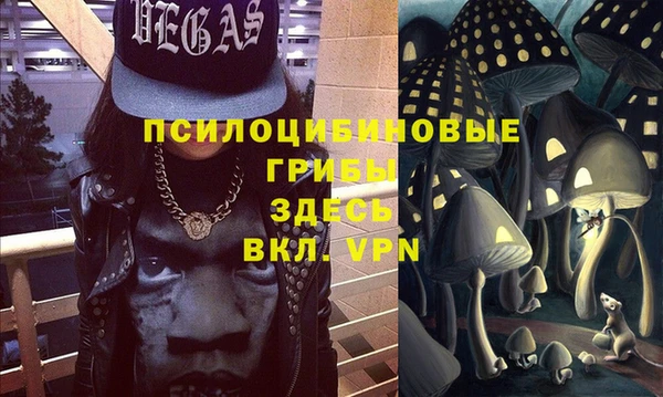 хмурый Абинск