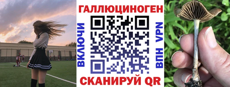 купить  цена  Архангельск  ОМГ ОМГ рабочий сайт  Псилоцибиновые грибы прущие грибы 