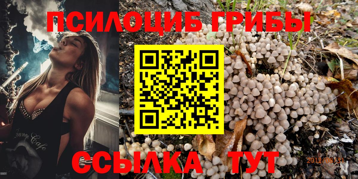 Архангельск  Псилоцибиновые грибы Psilocybe  Вход с VPN 