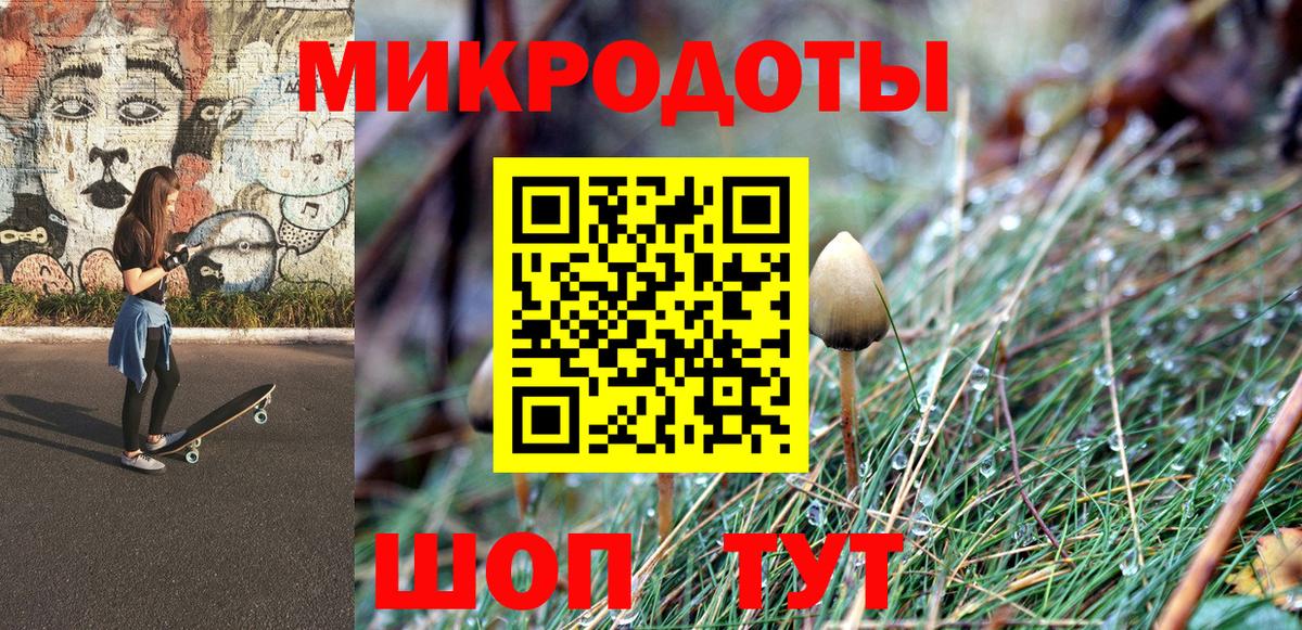 Галлюциногенные грибы мицелий Архангельск