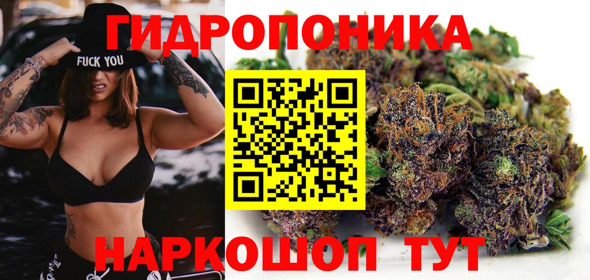 Бошки марихуана AK-47  Бошки марихуана планчик  Вход с VPN  Шишки марихуана семена  Архангельск 